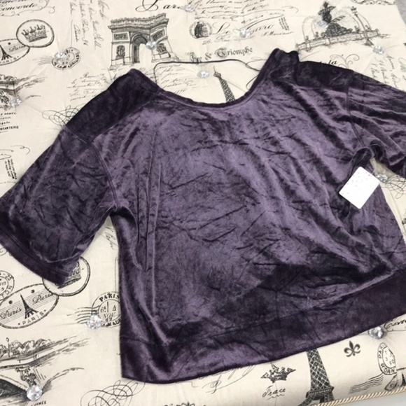 Free People Valerie Velour Top - Picture 4 of 6